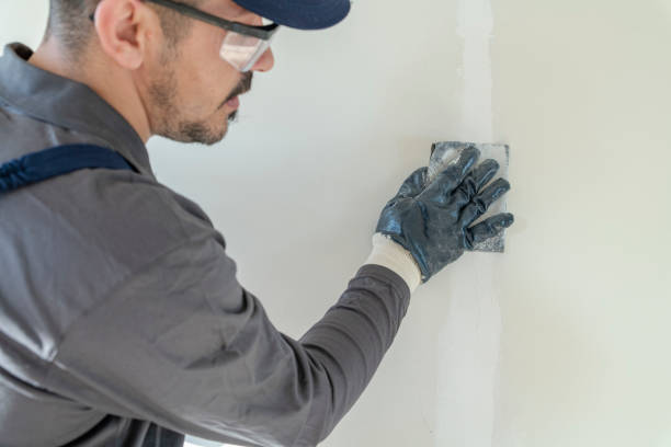 Best Mold Remediation for Healthcare Facilities  in Bronson, FL