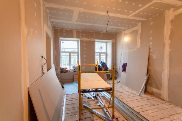 Professional Mold Removal in Bronson, FL